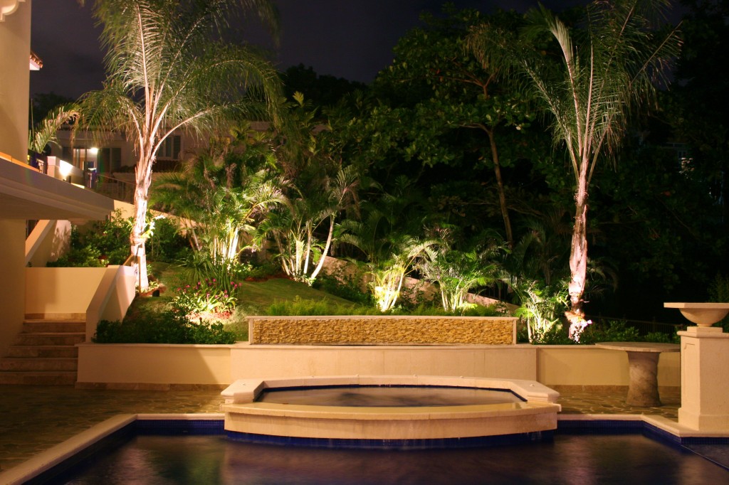 Outdoor Lighting Perspectives of Clearwater Landscape Lighting