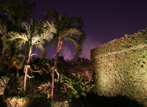 Landscape additions and outdoor lighting work best when installed together.