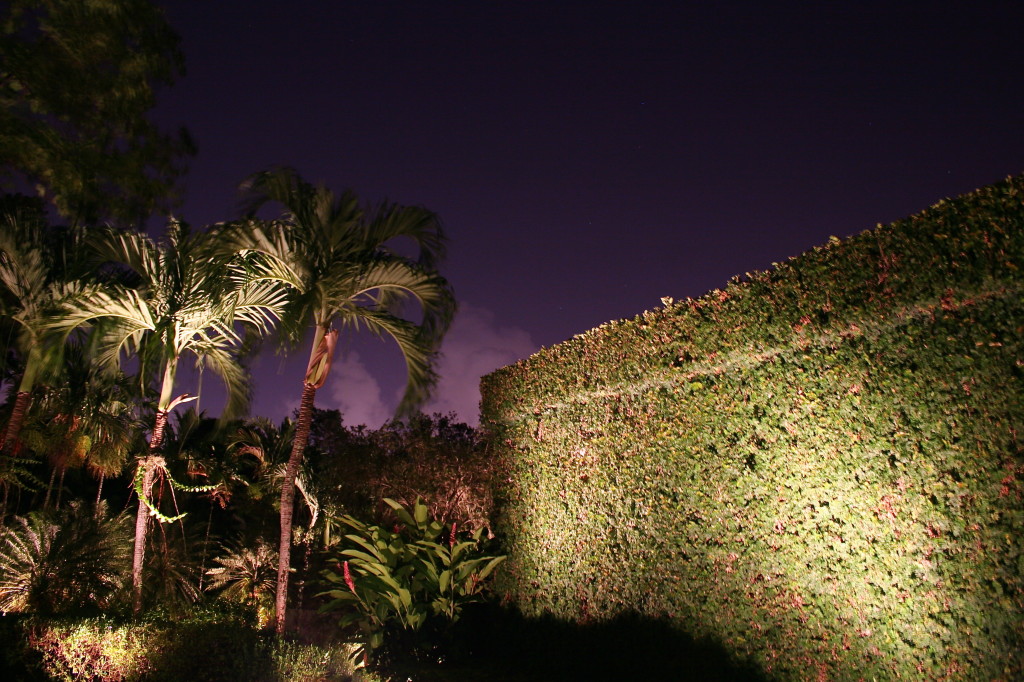 Your palm trees can stand out at night with the right kind of outdoor lighting fixture.