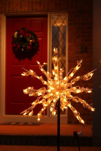 Starbursts liven up the holiday mood anywhere on your lawn.