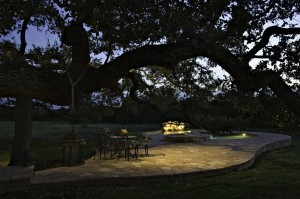 If you have large trees, like live oaks, in the area, moonlighting can be particularly striking.