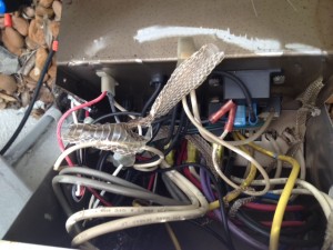 Snake skin in a client's transformer. Looks like this creature had made itself right at home.