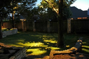 Moonlighting creates beautiful pools of light and shadows on the ground.